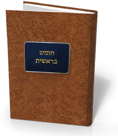 מוצר 1